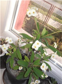 2c715af4-Picture 011.jpg